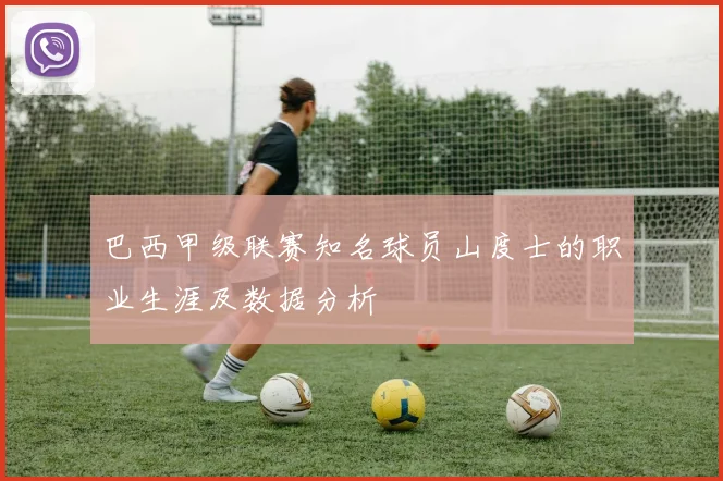 巴西甲级联赛知名球员山度士的职业生涯及数据分析