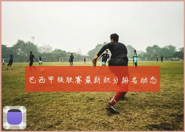 巴西甲级联赛最新积分排名动态