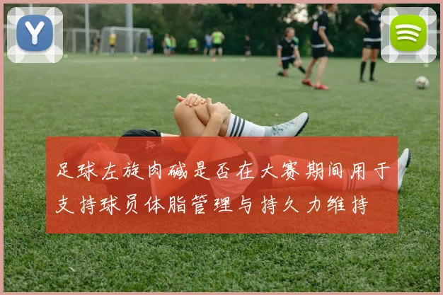 足球左旋肉碱是否在大赛期间用于支持球员体脂管理与持久力维持