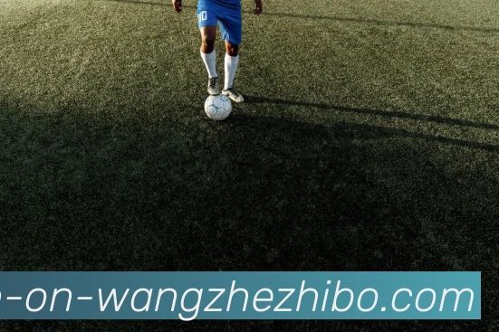 王者体育发展历程