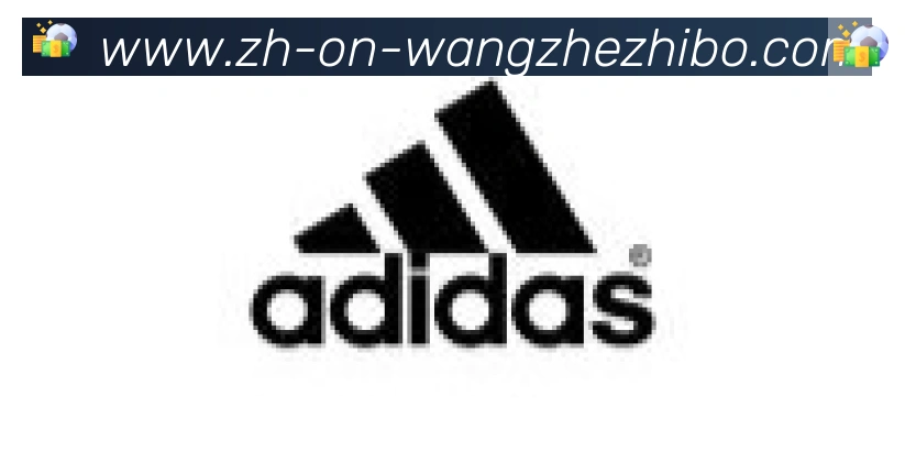 王者体育合作伙伴
