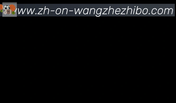 王者体育合作伙伴